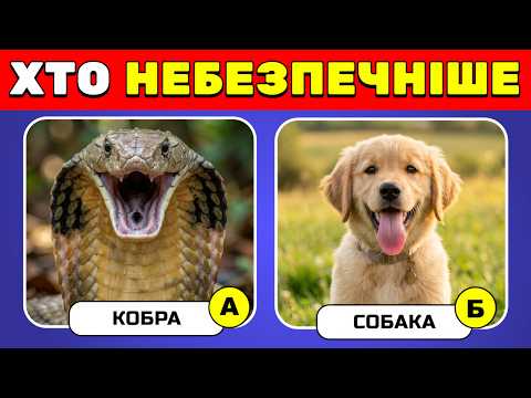 Видео: Вікторина про Тварин 🤯 ✅ | Вікторини Українською 🇺🇦