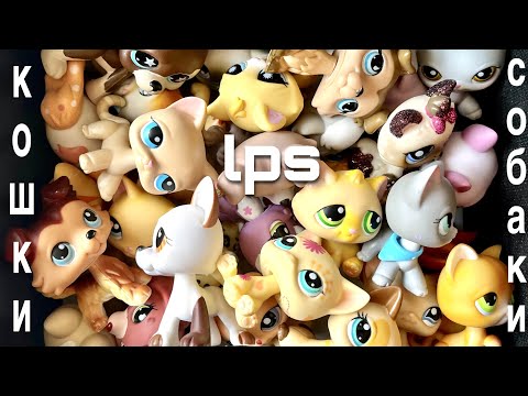 Видео: LPS/ СТАРЫЕ КОШКИ и СОБАКИ /LPS collection