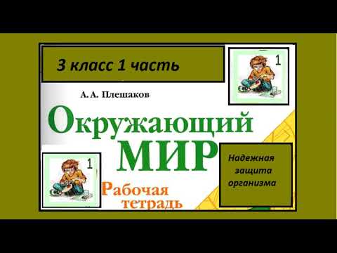 Видео: Окружающий мир 3 класс рабочая тетрадь. Надежная защита организма