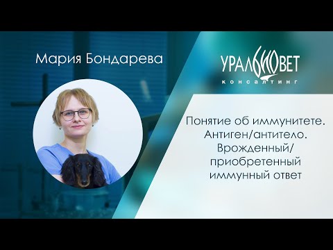 Видео: Понятие об иммунитете. Лектор Мария Бондарева #убвк_иммунология