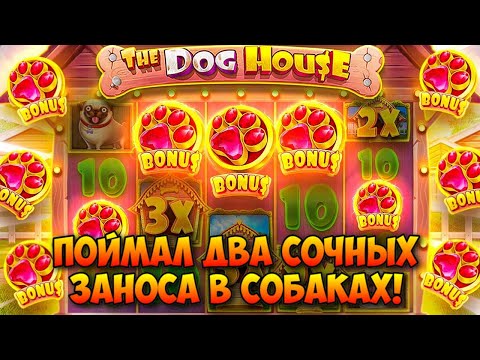 Видео: ИГРАЮ ВО ВСЕ ДОГ ХАУСЫ / ФУЛЛСКРИН В MULTIHOLD И КАЙФОВЫЙ ЗАНОС / MEGAWAYS ВЫДАЛИ ПОЛЯНУ БУДОК