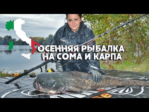 Видео: Осенняя рыбалка на сома и карпа на озере в Италии.