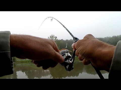 Видео: Nanofil 0,02 и монстр на крючке: новое испытание. Мормышинг.