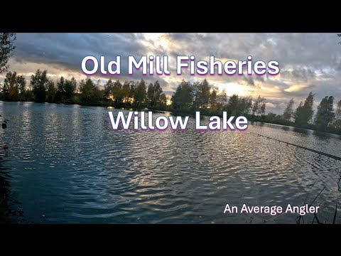 Видео: Рыболовство Old Mill – Уиллоу-Лейк