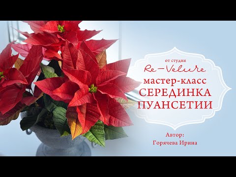 Видео: Мастер-класс СЕРЕДИНКА ПУАНСЕТИИ (DIY POINSETTIA MIDDLE)
