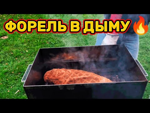 Видео: 👉 Форель в сливовом дыму и лепёшки на огне — осенний пир на даче!