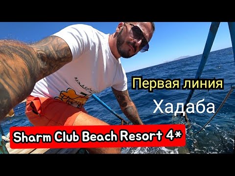 Видео: Египет 🇪🇬 Первая линия Sharm Club Beach Resort 4* Хадаба Сервис Питание Территория  Пляж
