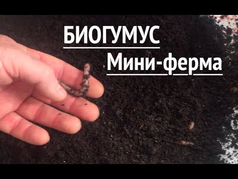 Видео: Биогумус делать или покупать?