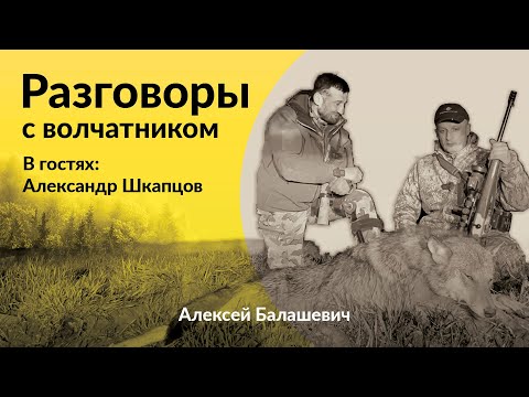Видео: Разговоры с Волчатником.Александр Шкапцов. Охота на волка. Как правильно вабить? #охота #волк #ваба