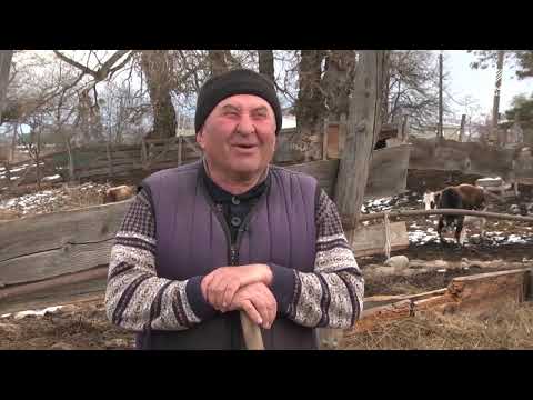 Видео: Сельский кластер - Фермерское хозяйство Дахира Кипкеева (05.02.2020)