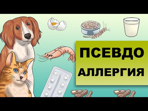 Видео: ПСЕВДОАЛЛЕРГИЯ. Как отличить от аллергии?