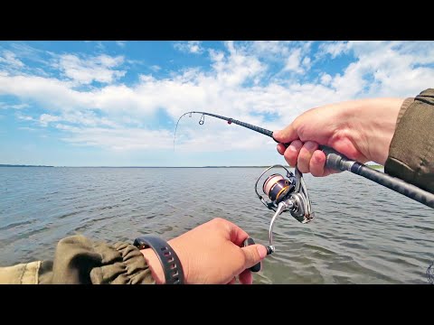 Видео: Ловля окуня на спиннинг с лодки|Эта приманка ловит|Рыбалка на джиг