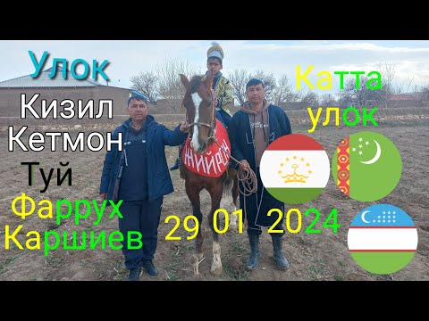 Видео: Улок Носир Хусрав Кизил Кетмон 29 01 2024 зур улок булди тез томоша килинг