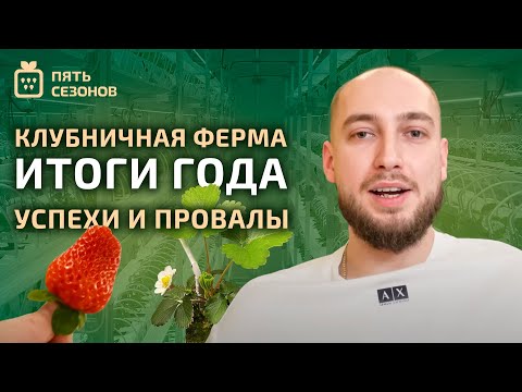 Видео: Клубничная ферма: итоги года