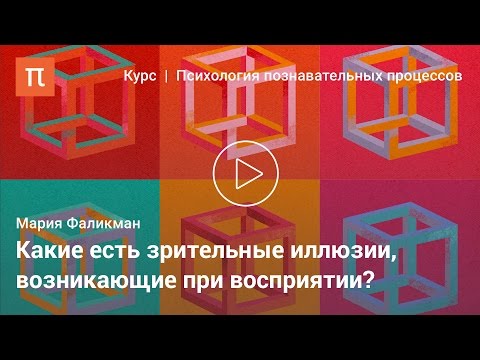 Видео: Основные феномены восприятия — Мария Фаликман