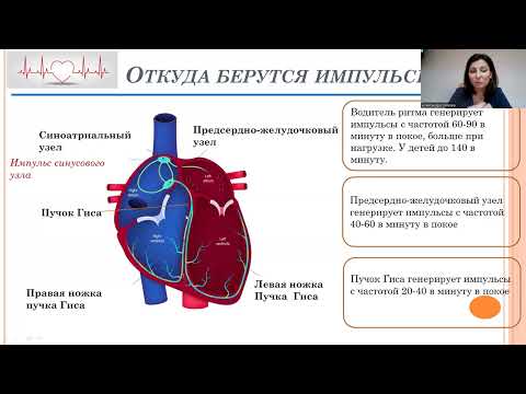 Видео: Нарушения ритма сердца: просто о важном