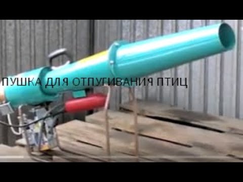 Видео: Пушка для отпугивания птиц - инструкция к применению