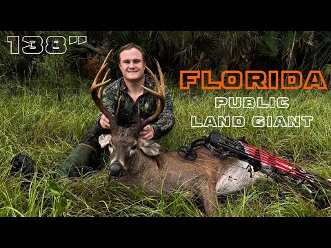 Видео: Охота с луком на гигантскую общественную землю Флориды БАК | Уильям Уоллес