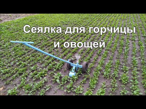 Видео: Сеялка для горчицы и овощей|Seeder for mustard and vegetables.