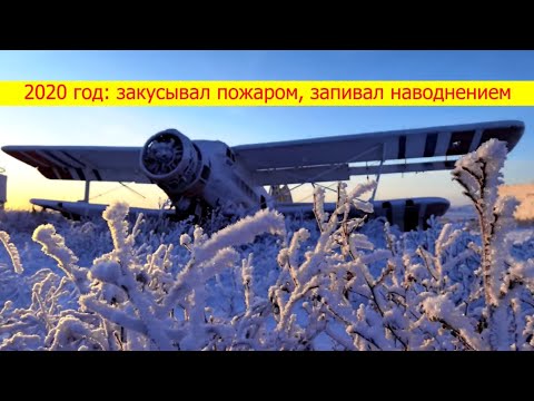 Видео: 2020 год: закусывал пожаром, запивал наводнением
