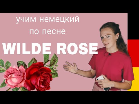 Видео: Учим немецкий по песне WILDE ROSE 