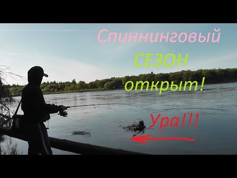 Видео: СПИННИНГОВЫЙ СЕЗОН ОТКРЫТ! Ура... Отличная рыбалка на берегу реки - Б.Р.№682