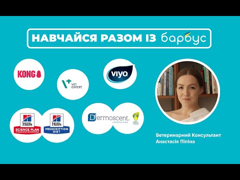 Видео: Важливість нутрієнтів в раціоні котів і собак