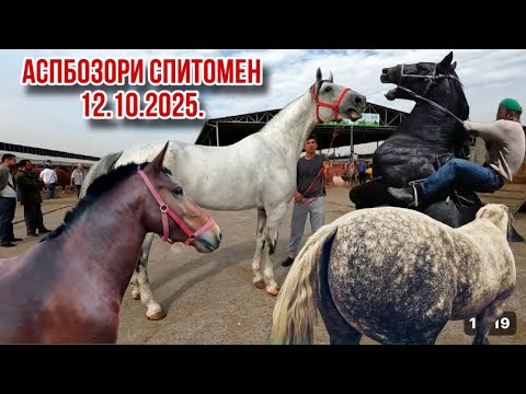 Видео: Аспбозор Хучанд Спитомен 12 октября 2025 г.