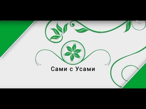 Видео: Йошта  | Сами с усами