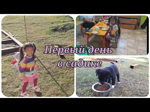 Видео: Первый день в садике