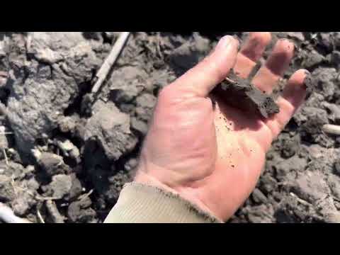 Видео: Боронування 2023😎🚜. МТЗ 1221+ СБП-17