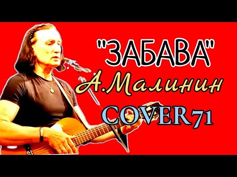 Видео: Забава /А.Малинин кавер песни #гитара #acousticmusic #guitarcover