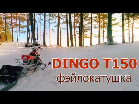 Видео: Снегоход Dingo T150, эксплуатация. ФВД - фэйлокатушка выходного дня,  Колягино-Минжуль-НЕвидовка