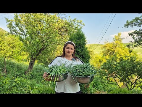 Видео: ՍԽՏՈՐԻ ՄԻՋՈՒԿԸ Քաղեցինք ԹԹՈՒ Դրեցինք - Խի համո՜վ - Շամշադինի Համը - Шамшадин