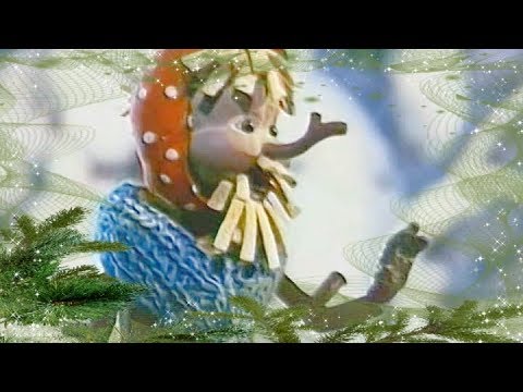 Видео: Елочка елка лесной аромат