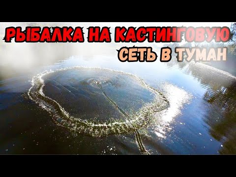 Видео: РЫБАЛКА В СИЛЬНЫЙ ТУМАН, НА КАСТИНОВУЮ СЕТЬ🕸️