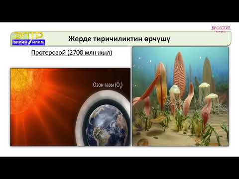 Видео: 6-класс | Биология | Өсүмдүктөрдүн жер бетинде өрчүшү