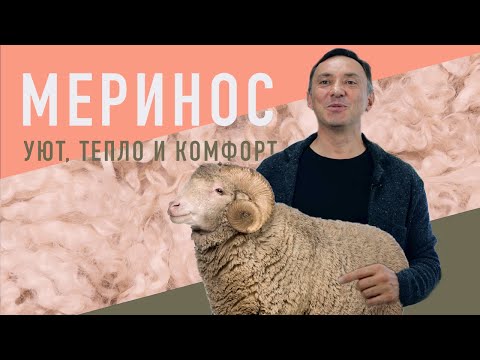 Видео: МЕРИНОС - САМАЯ КАЧЕСТВЕННАЯ ШЕРСТЬ, УЮТ, ТЕПЛО И КОМФОРТ