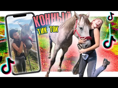 Видео: СНИМАЮ КЛИПЫ В ТИК ТОК 4 (конная версия)