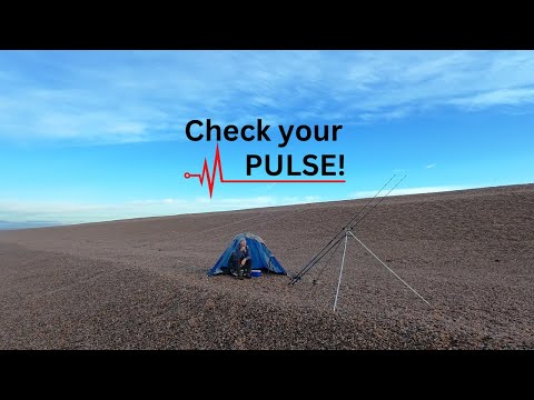 Видео: В Феррибридже вас ждёт море развлечений! Рыбалка на пляже Чесил осенью, рыбалка в Дорсет-Си в 202...