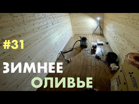 Видео: Хроники зимних студней в контейнерах.