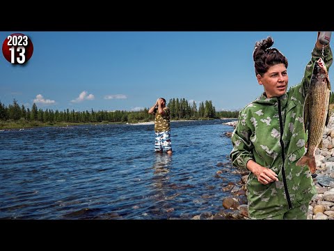 Видео: Жизнь в тайге на Полярном Урале. Обычные будни. Рыбалка. Роллы из хариуса. Банный день. 13с