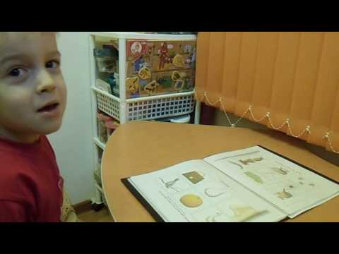 Видео: Звукопроизношение  Обследование