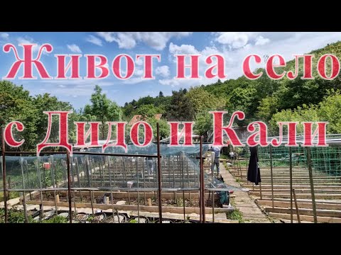 Видео: Живот на село: готови сме с лехите + опънахме засенчващата мрежа