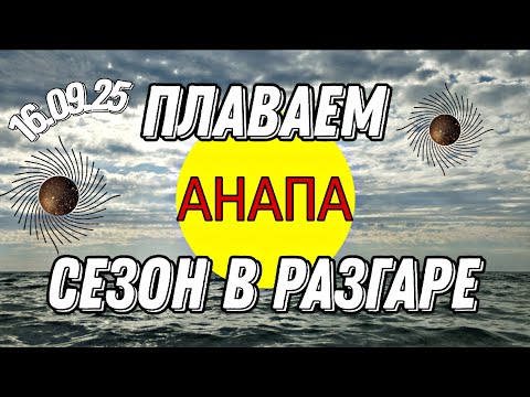 Видео: 🟡 16.09.25 ПЛАВАЕМ 🏊‍♀️ СЕЗОН В РАЗГАРЕ 🟡