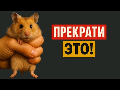 Видео: 16 вещей, которые КАЛЕЧАТ хомяков | Об этом нужно знать до покупки!