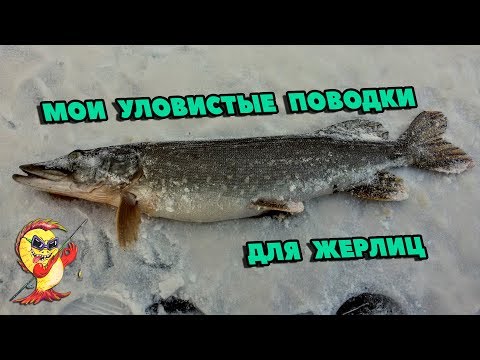 Видео: ПОВОДКИ ДЛЯ ЖЕРЛИЦ.