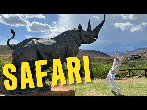 Видео: КЕЙПТАУН ЮАР: САФАРИ. Заповедник Aquila Private Game Reserve