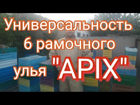 Видео: Улей "Apix" на моей пасеке четвертый сезон. Расширение пасеки и много меда!!!