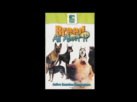 Видео: Фильм. Бретон - Все о собаках (Animal Planet) [2007г., США].